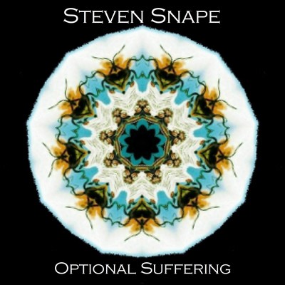 Steven Snape - 11 Optional Suffering